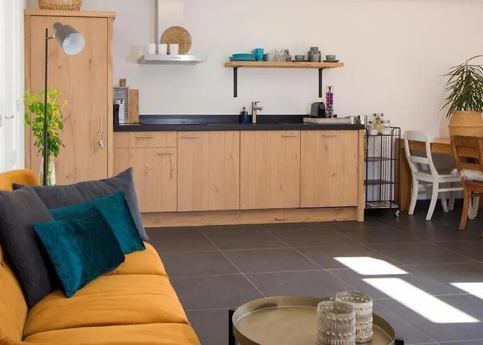 Meet The Dutch 4* ريديرْكيركْ