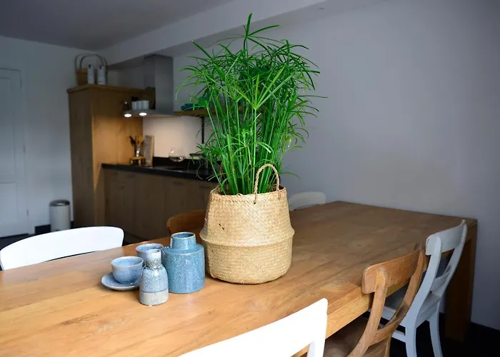 Meet The Dutch 4* ريديرْكيركْ