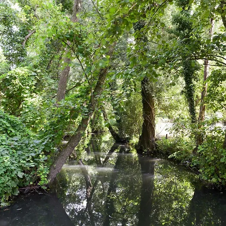 Meet The Dutch Oda ve Kahvaltı Ridderkerk