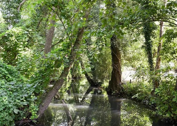 Meet The Dutch Bed and breakfast Ridderkerk